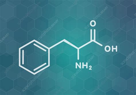 Phenylalanine amino acid molecule, illustration - Stock Image - F027/9109 - Science Photo Library