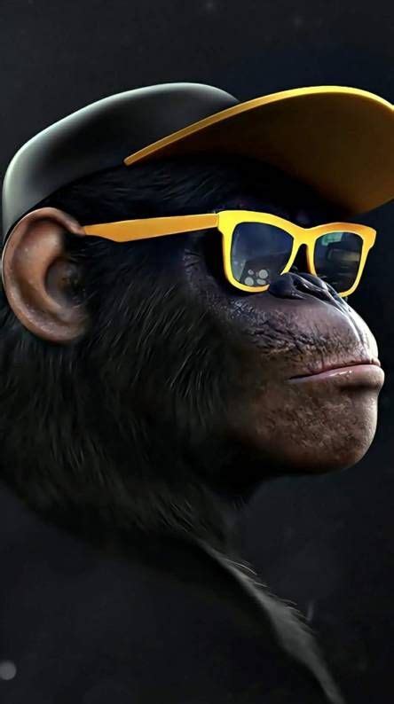 Monkey Wallpaper - EnWallpaper