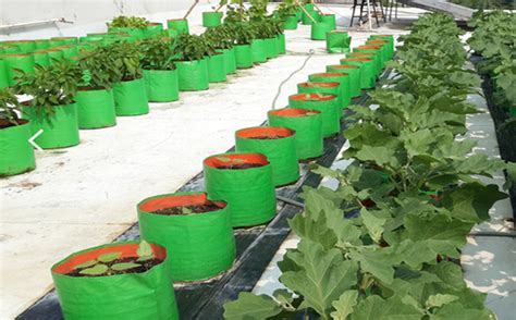 hdpe grow bags for nursery, grow bags suppliers Ahmedabad, grow bags