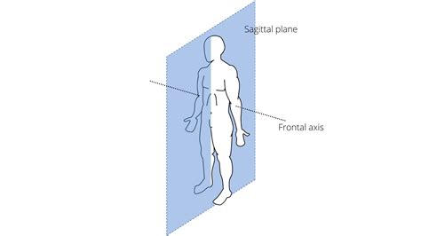 What are Axis and Planes of the Body, and its Type