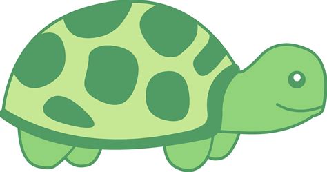 Cute Turtle Clipart Transparent HQ PNG Download | FreePNGImg