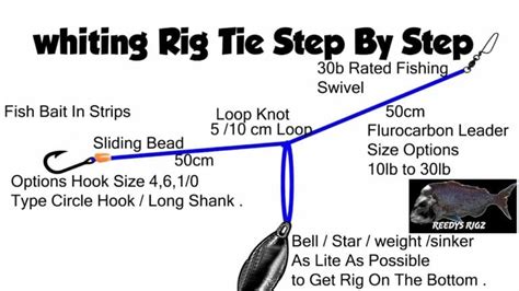 Whiting Rig Diagram Make Bottom Fishing Rigs Easy Setup Video Tutorial