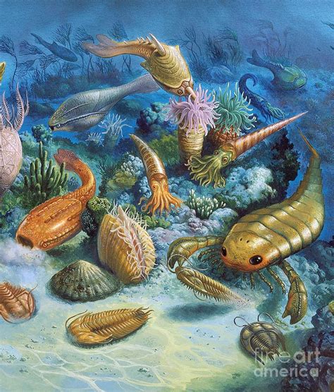 Underwater Life During The Paleozoic by Publiphoto | Dinosaur art ...