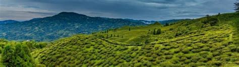 Siliguri to Darjeeling by Road- Distance, Time & Other Travel Information