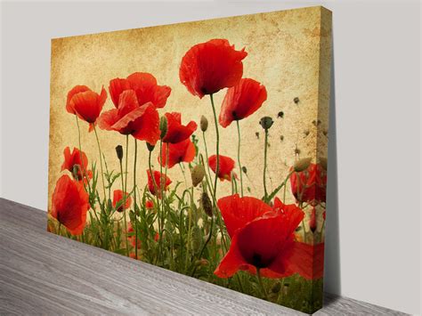 Vintage Poppies Art Print on Canvas | Poppy Field Framed Wall Art Pictures