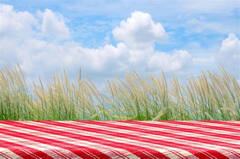 Picnic Background with Picnic Table. Stock Image - Image of checkered ...