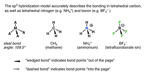 29 Write The Orbital Diagram Of Carbon Before Sp3 Hybridization. - Wiring Database 2020