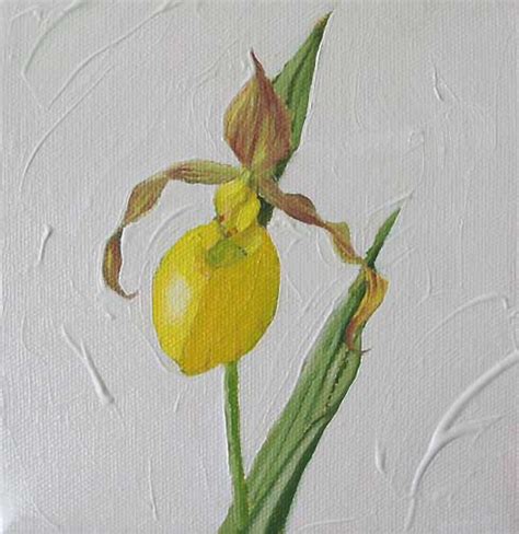 margieguyot: Yellow Lady Slipper Orchids