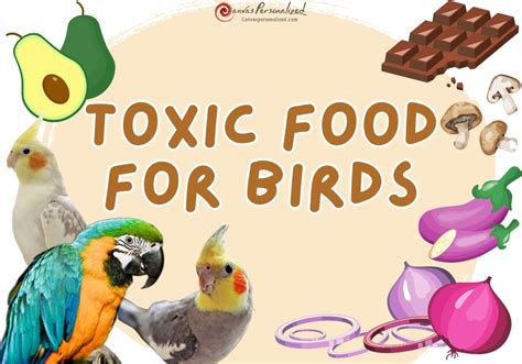 15 Toxic Foods For Birds: Keep Your Feathered Friends Safe