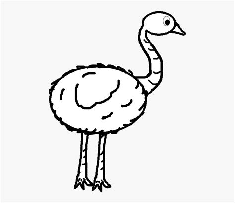 Emu Clipart Black And White - Emu Clip Art, HD Png Download - kindpng