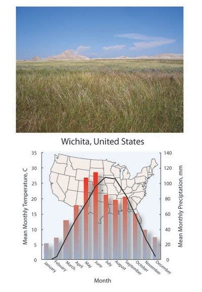 Grassland Biome Climate