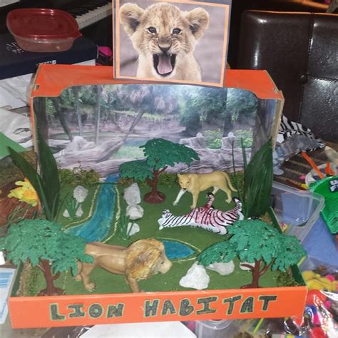 Lion Habitat