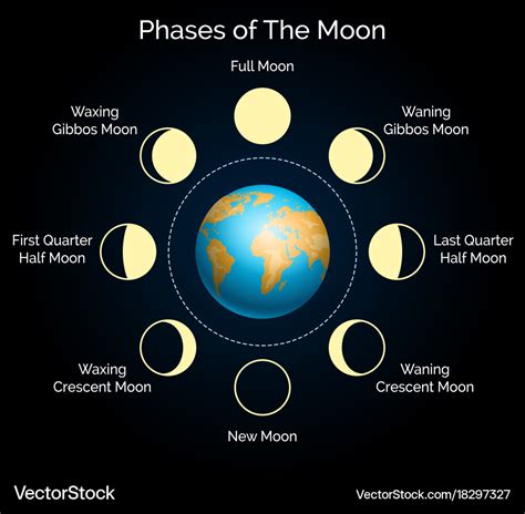 Earth and lunar phase set Royalty Free Vector Image