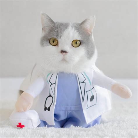 36 Best Cat Costumes to Get in 2024: Cat Halloween Costumes