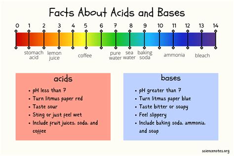 Facts About Acids and Bases