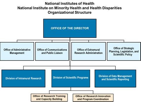 Current Organizational Structure