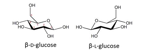 organic chemistry - In the Haworth projections of D and L glucose, is the stereochemistry at ...