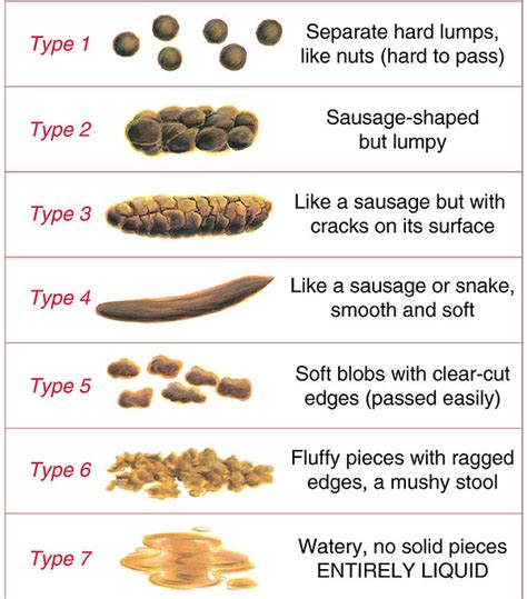 Bristol Stool Chart | Child Digestion | Pediatric Associates