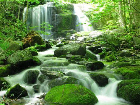 19 Stunning Waterfalls In Virginia To Add To Your Bucket List