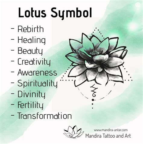 lotus symbol with the words lotus symbol in different languages, including symbols and meaningss