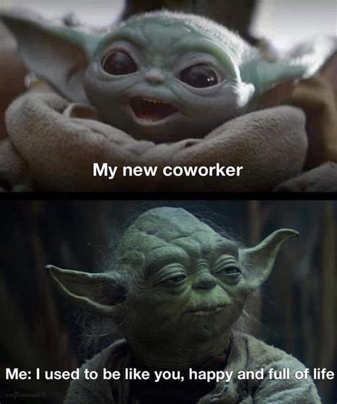 Pin by Tor Bear on Baby Yoda Yoda funny, Work memes