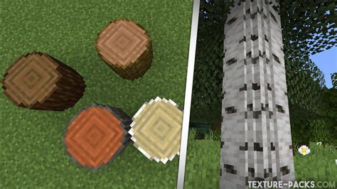 Round Trees Texture Pack 1.21, 1.21.3, 1.21.1 → 1.20 - Download