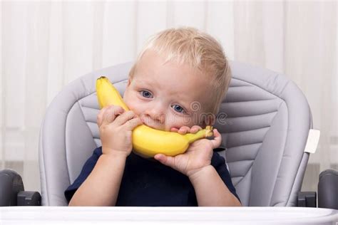 Cute One Year Old Toddler Eating a Banana and Sitting in the Baby Chair ...