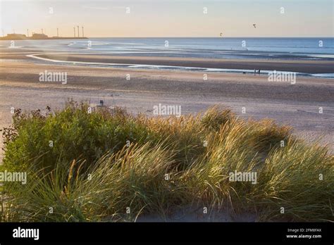 Beach in Belgium, Knokke- Heist Stock Photo - Alamy