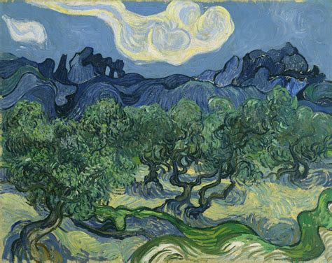 The Olive Trees Van Gogh - United Kingdom