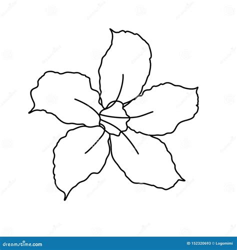 Beautiful Adenium Flower Line Art. One Line Artwork, Minimalist Contour Drawing - Vector Stock ...