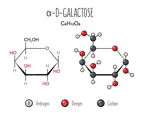 Premium Vector | Alpha galactose representation skeletal formula and 2d ...