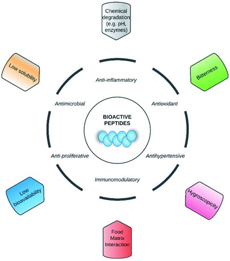 Encapsulation of bioactive peptides: a strategy to improve the stability, protect the ...