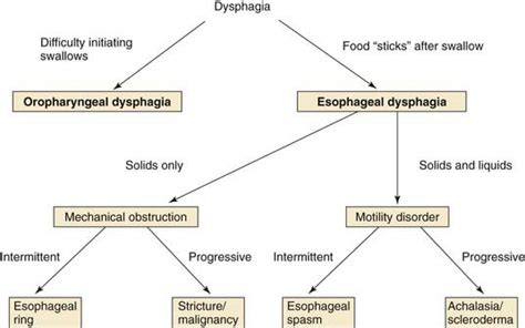 Esophageal Dysphagia Diet Menu - papersblogs