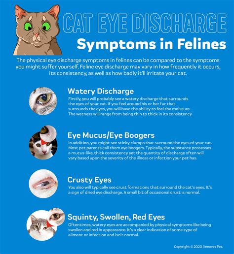 Cat Eye Discharge- Innovet Pet