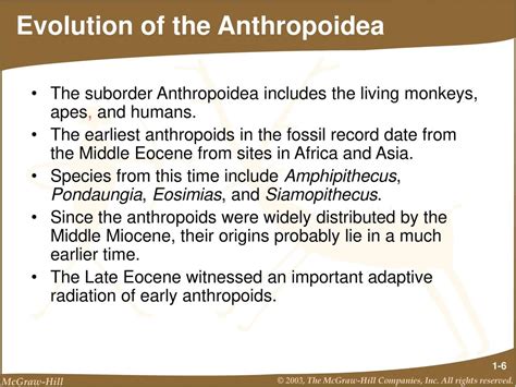 The Nonhominid Primate Fossil Record - ppt download