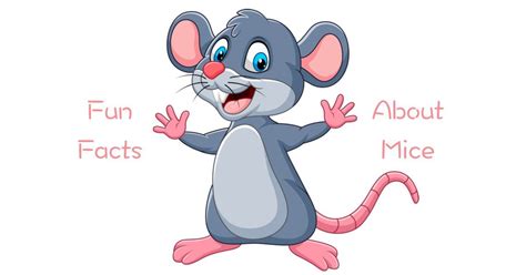 5 Cool And Fun Facts About Mice | Garfield Pest Control NH