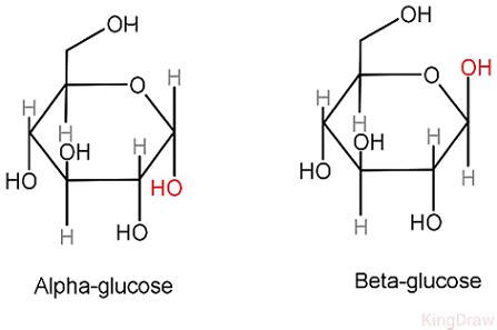 Alpha And Beta Glucose Ring Structure