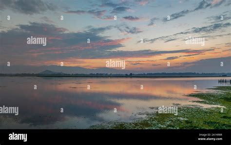 Dal lake in Srinagar at sunset Stock Photo - Alamy