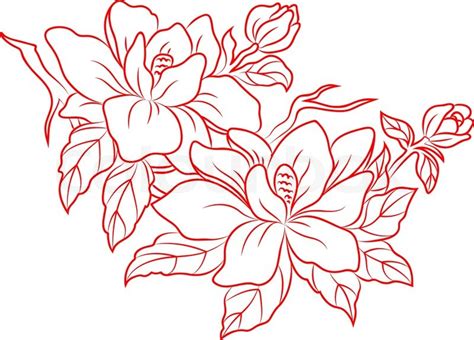 Chinese Flower Drawing at GetDrawings | Free download