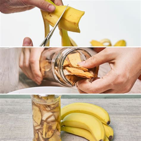 Disadvantages & Benefits of Banana Peel Water for Plants