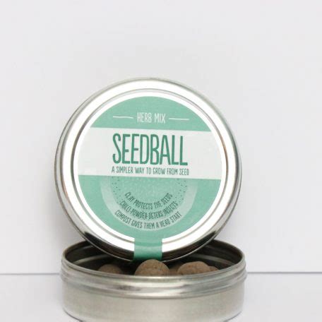 Herb Mix Seedball Kit | Freshly Spiced | Spices Blends