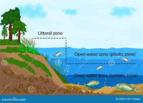 Ecosystems Cartoons, Illustrations & Vector Stock Images - 5613 Pictures to download from ...