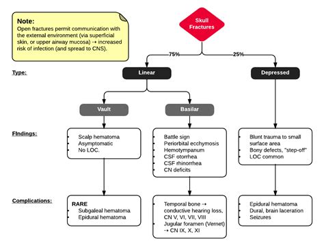 Types Of Skull Fracture