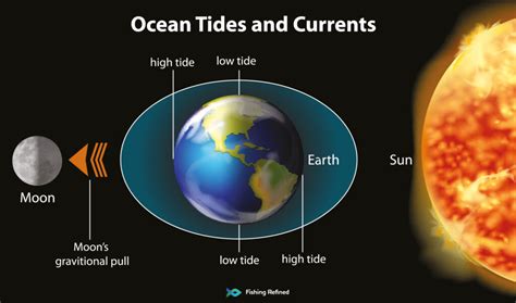 How Moon Phases & Ocean Tides Affect Fishing Success