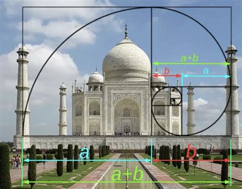 The Magic of the "Golden Ratio" - Math Lessons