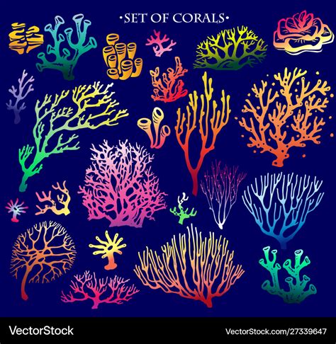 Set color underwater coral reef elements Vector Image