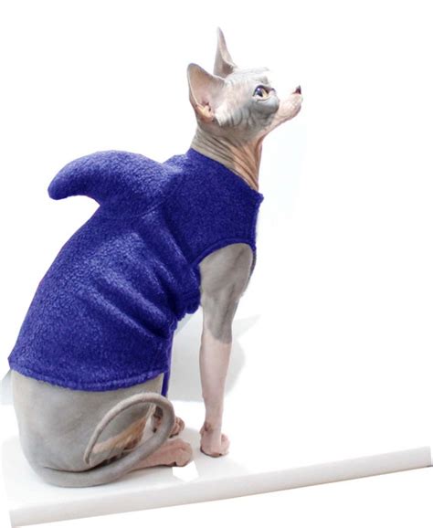 Items similar to Shark Week - Cat Shark Costume - Sphynx Cat Clothes - Pet Shark Sweater ...