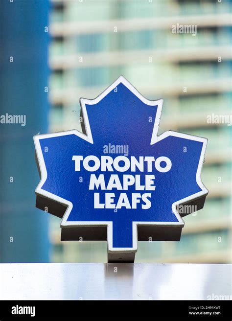 Toronto maple leafs logo hi-res stock photography and images - Alamy