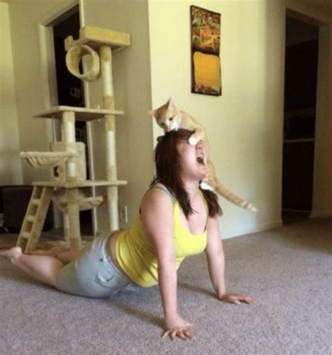 18 of The Most Hilarious Yoga Fails - The Kitchen