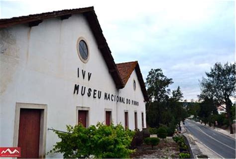 National Wine Museum of Alcobaça